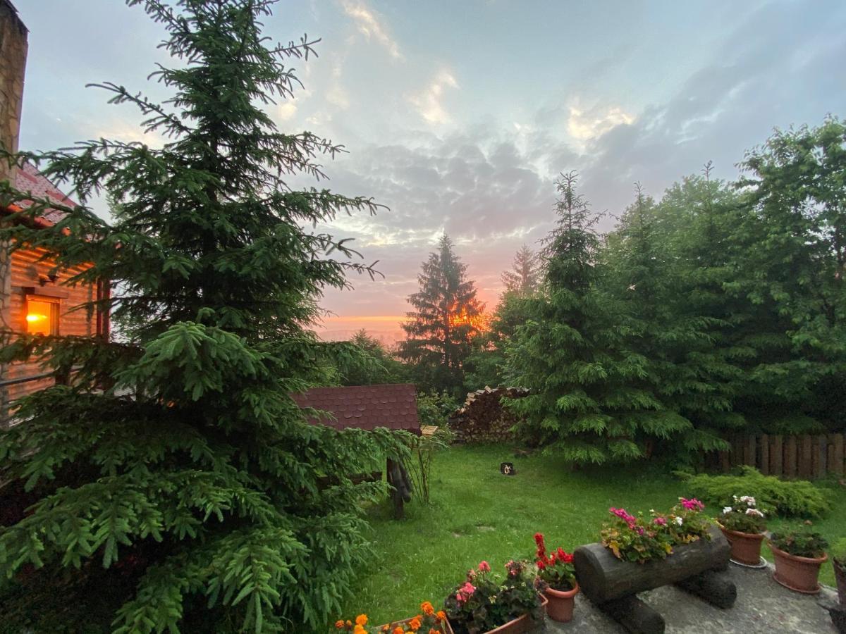 Carpathian Log Home Bran  Dış mekan fotoğraf